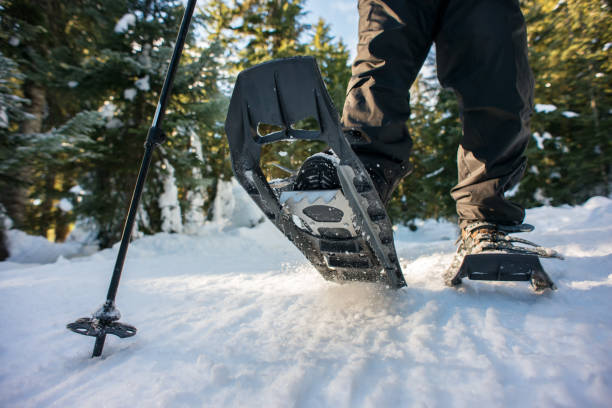 Snow Shoeing